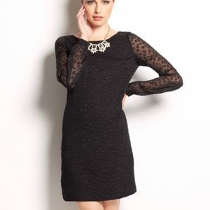 Ann Taylor Sheer Dot Long Sleeve Shift dress